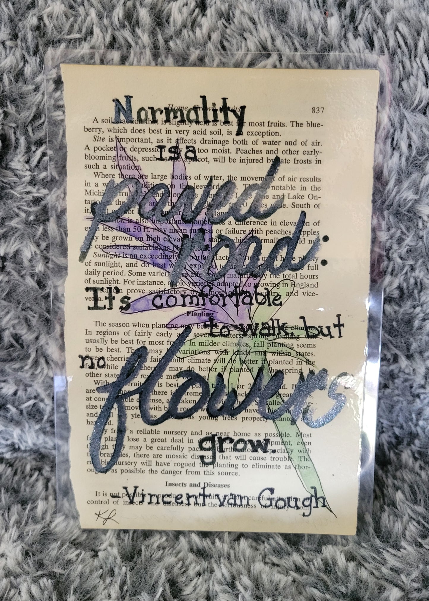 No Flowers Grow