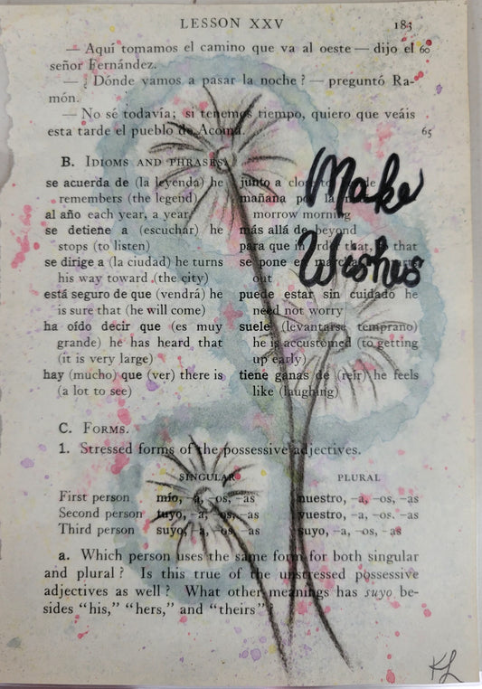 Make Wishes