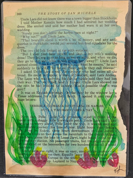 Jellyfish